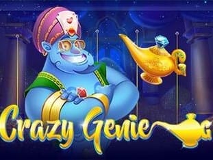 Crazy Genie screenshot