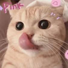 Rina Setiawati avatar