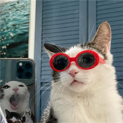 Ferry Ardiansyah avatar